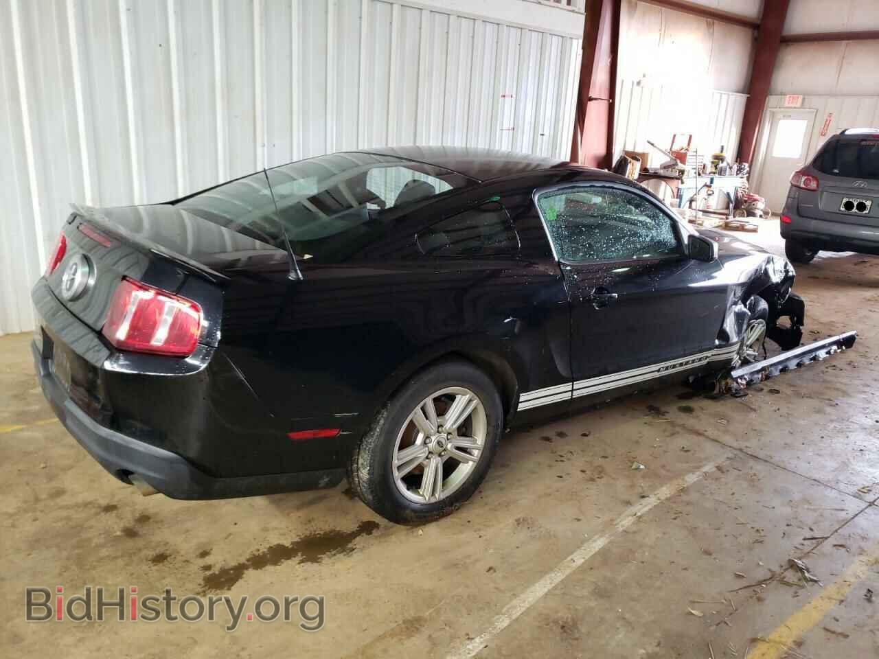 2010 FORD MUSTANG - VIN: 1ZVBP8AN3A5113584 - Фото 3