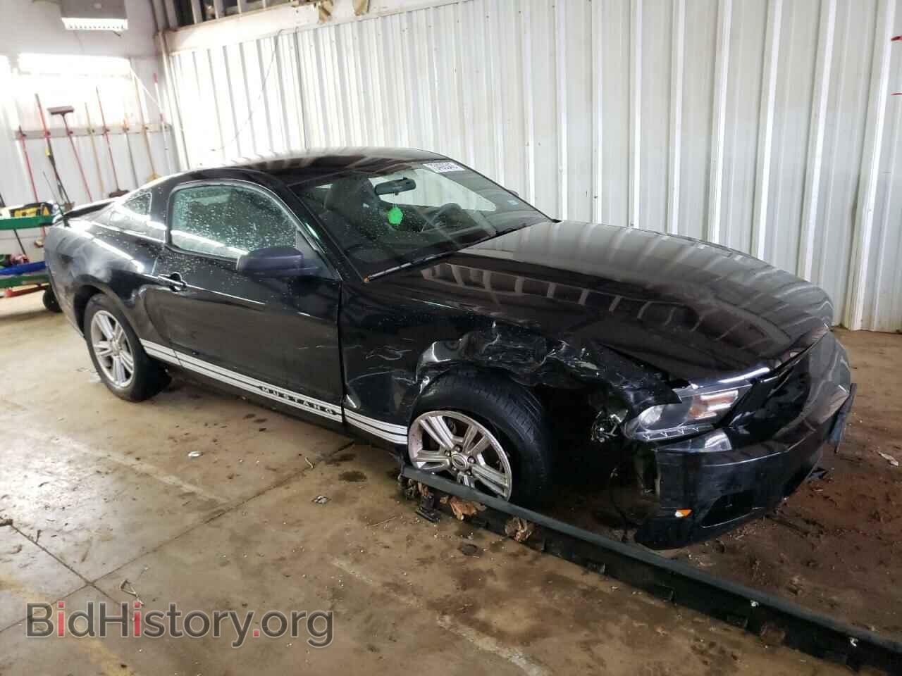 2010 FORD MUSTANG - VIN: 1ZVBP8AN3A5113584 - Фото 4