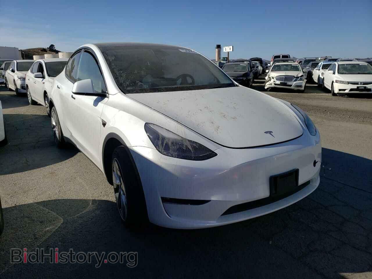 2023 TESLA MODEL Y - VIN: 7SAYGDEE6PF744503 - Фото 4