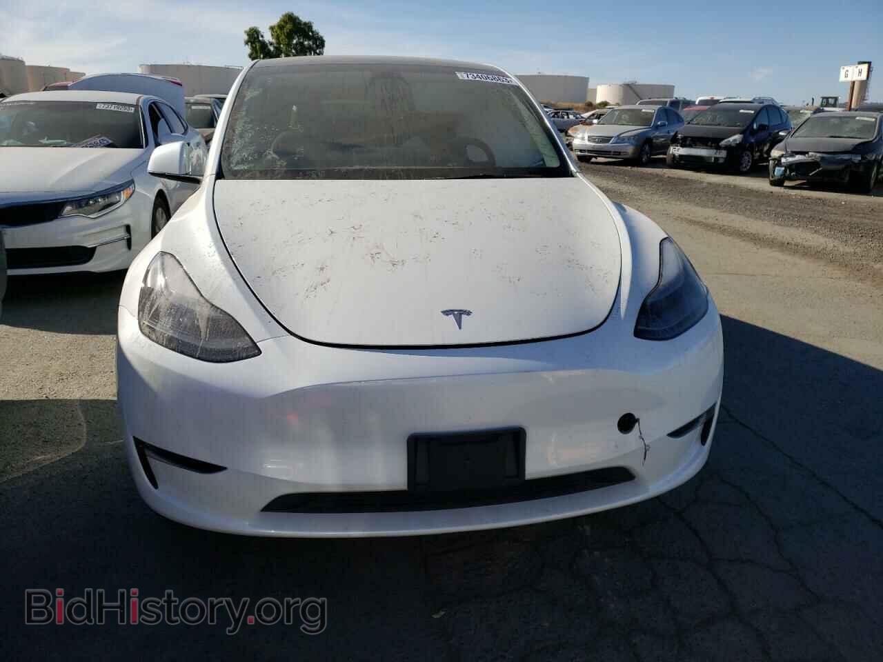 2023 TESLA MODEL Y - VIN: 7SAYGDEE6PF744503 - Фото 5