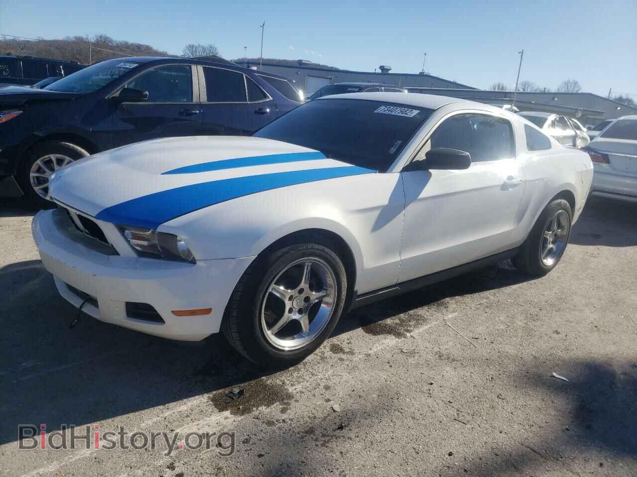Фотография 1ZVBP8AM0C5277028 - FORD MUSTANG 2012