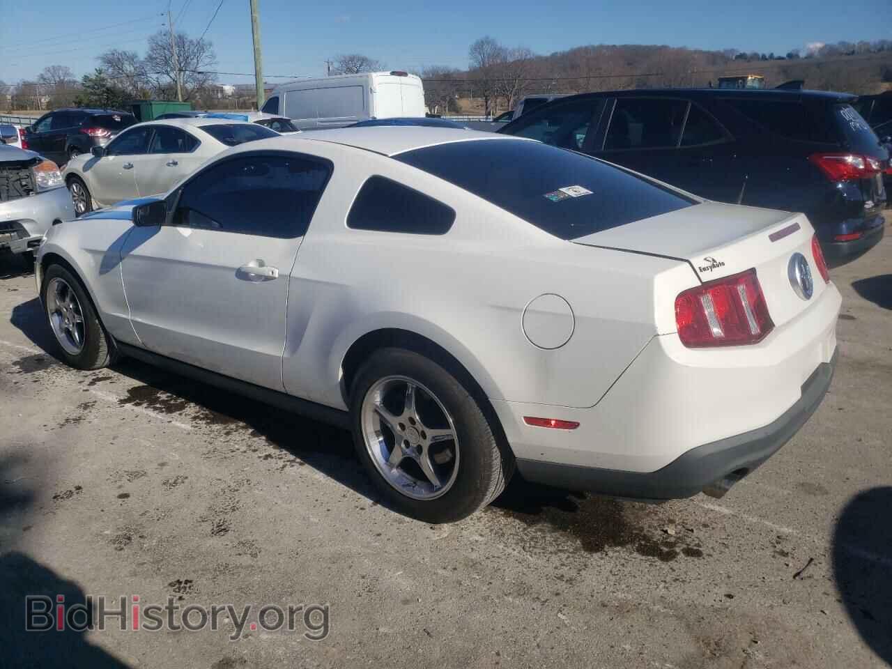 2012 FORD MUSTANG - VIN: 1ZVBP8AM0C5277028 - Фото 2
