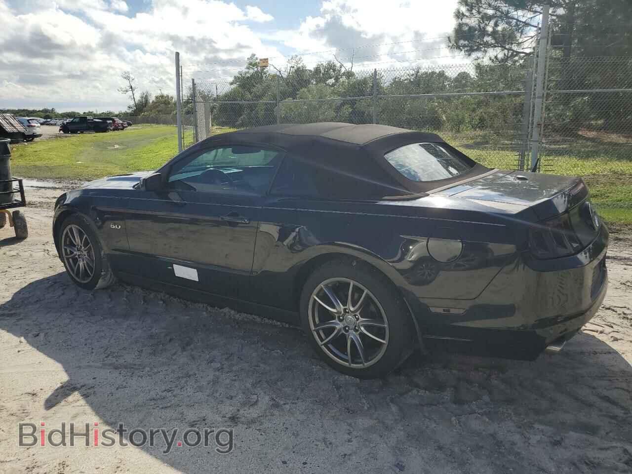 2013 FORD MUSTANG - VIN: 1ZVBP8FF0D5227709 - Фото 2