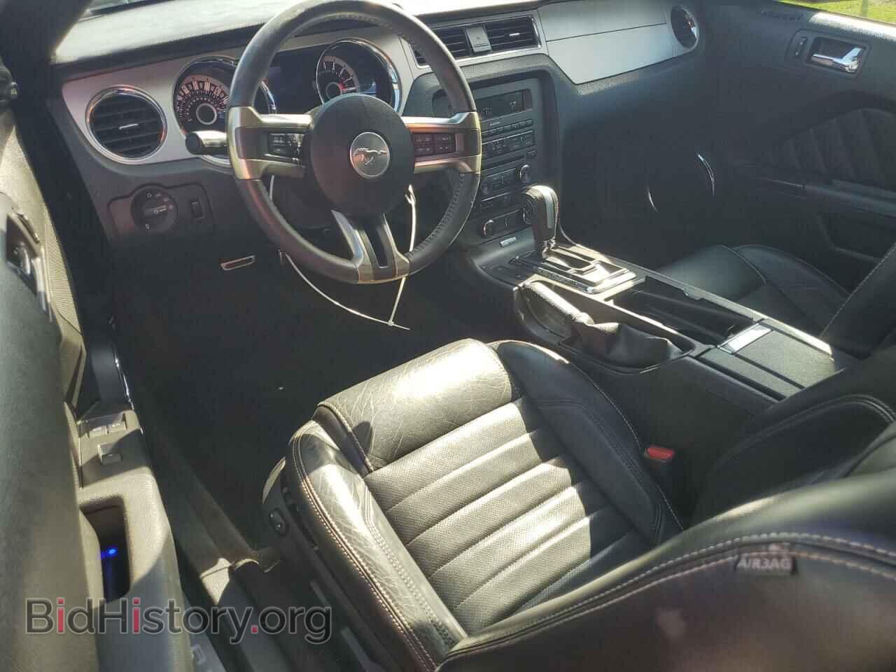 2013 FORD MUSTANG - VIN: 1ZVBP8FF0D5227709 - Фото 8