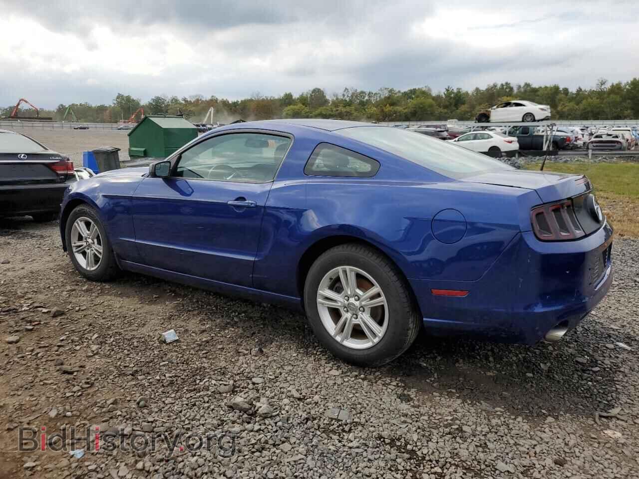 2013 FORD MUSTANG - VIN: 1ZVBP8AM0D5275880 - Фото 2