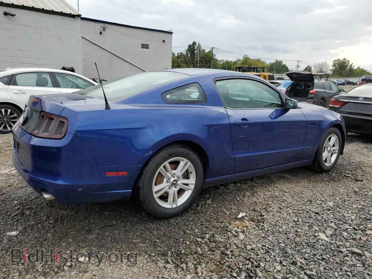 2013 FORD MUSTANG - VIN: 1ZVBP8AM0D5275880 - Фото 3