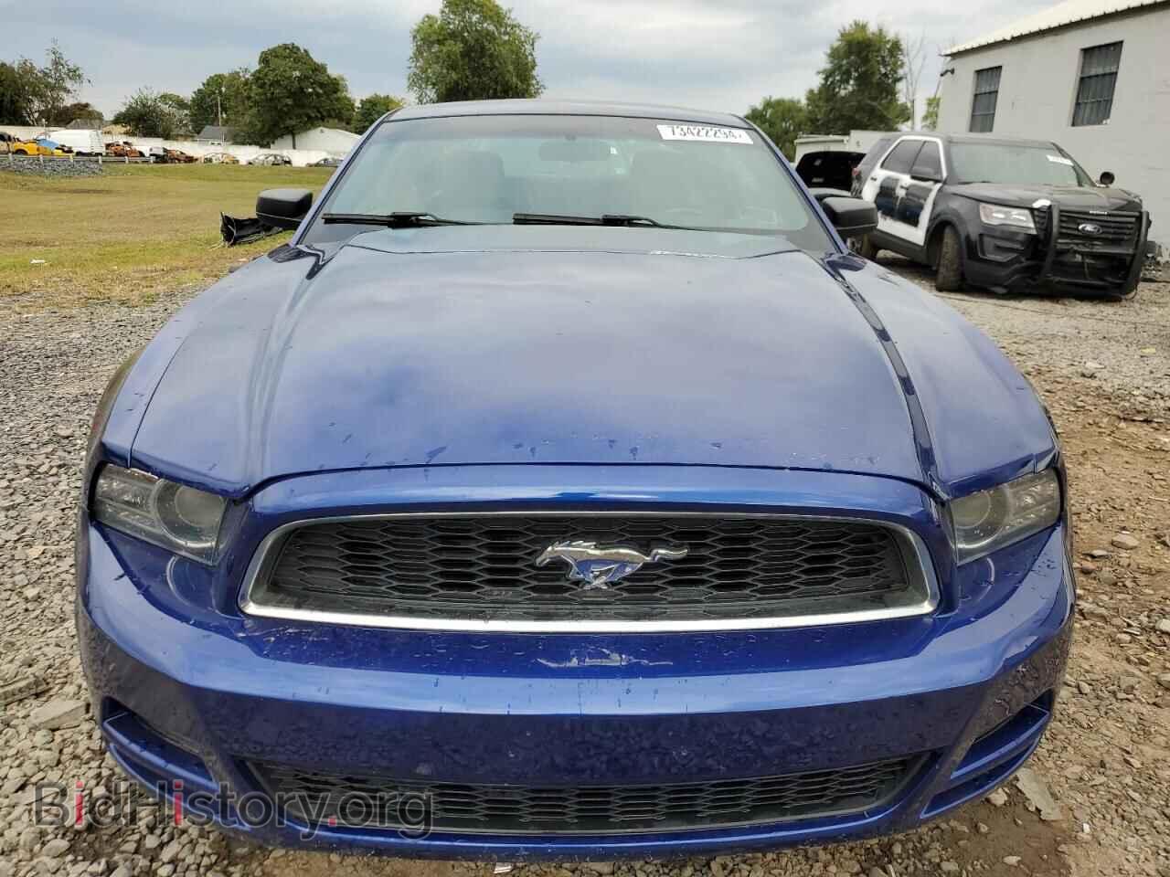 2013 FORD MUSTANG - VIN: 1ZVBP8AM0D5275880 - Фото 5