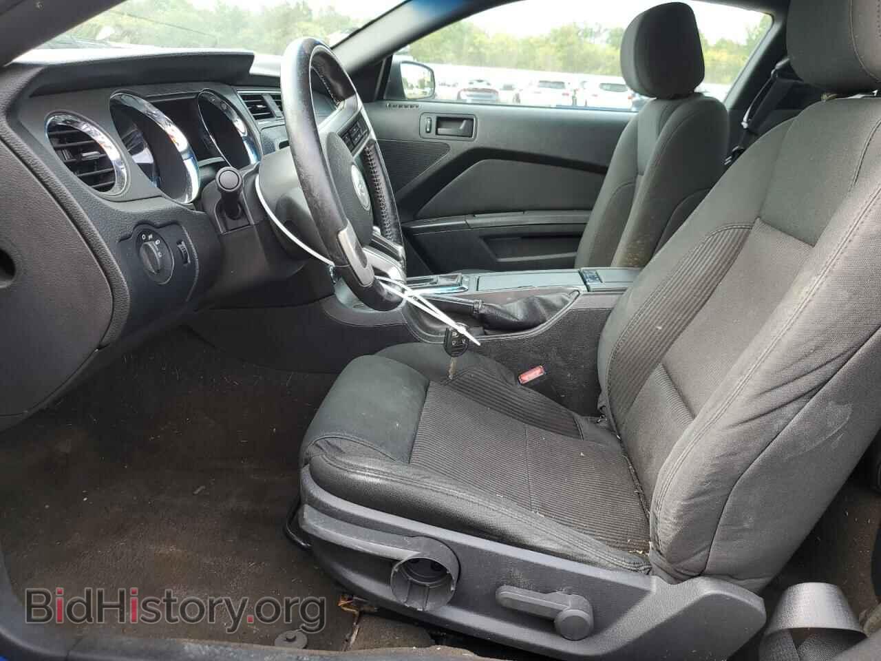 2013 FORD MUSTANG - VIN: 1ZVBP8AM0D5275880 - Фото 7