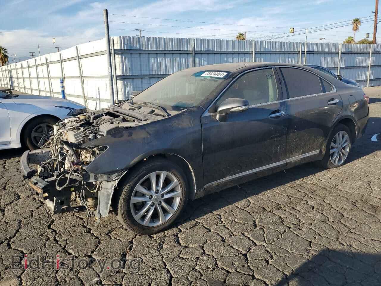 Photo JTHBK1EG4A2369883 - LEXUS ES350 2010