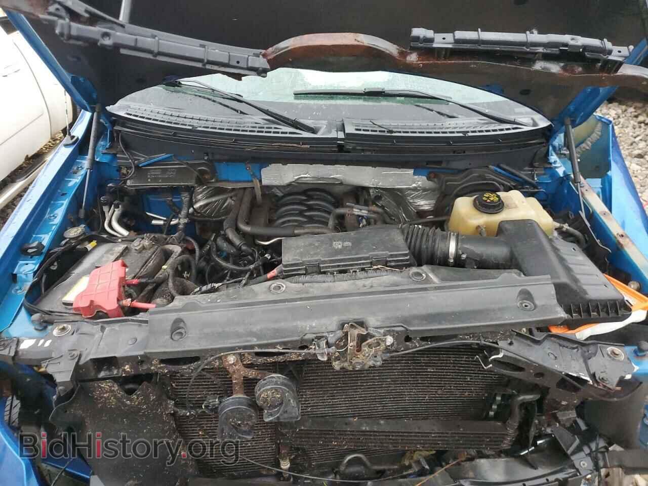 2012 FORD F-150 - VIN: 1FTFX1EF7CFB30206 - Фото 11