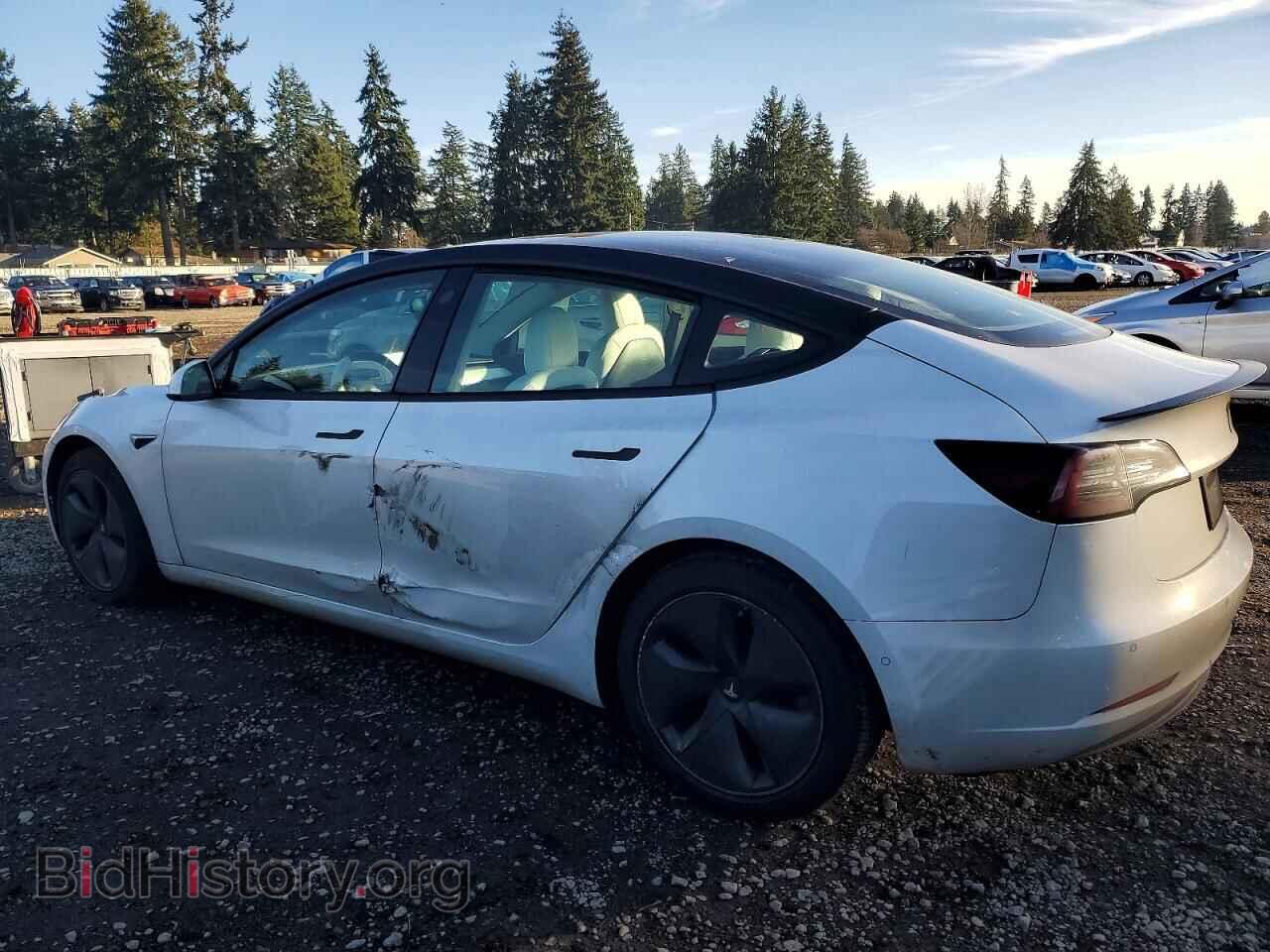 2020 TESLA MODEL 3 - VIN: 5YJ3E1EA6LF805108 - Photo 2