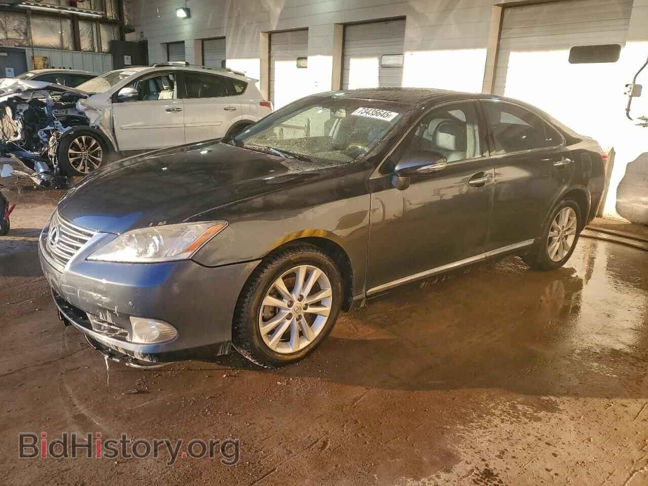 Фотография JTHBK1EG7A2355511 - LEXUS ES350 2010
