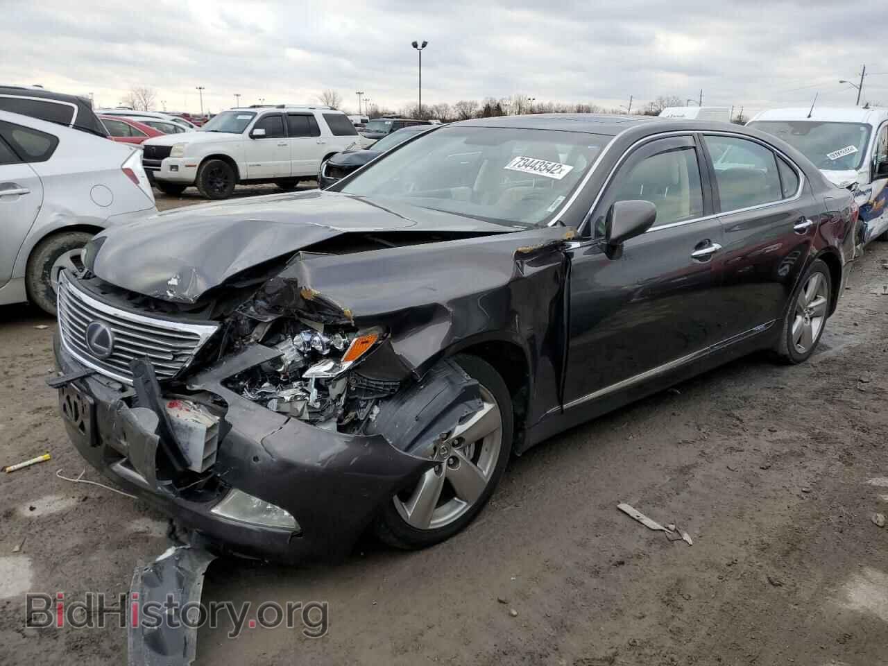 Photo JTHDU46F995009917 - LEXUS LS600 2009