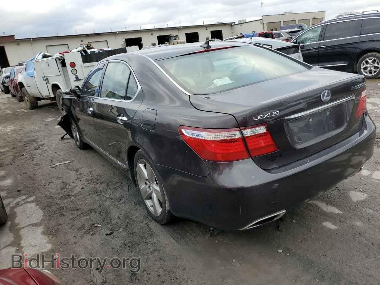 2009 LEXUS LS600 - VIN: JTHDU46F995009917 - Фото 2