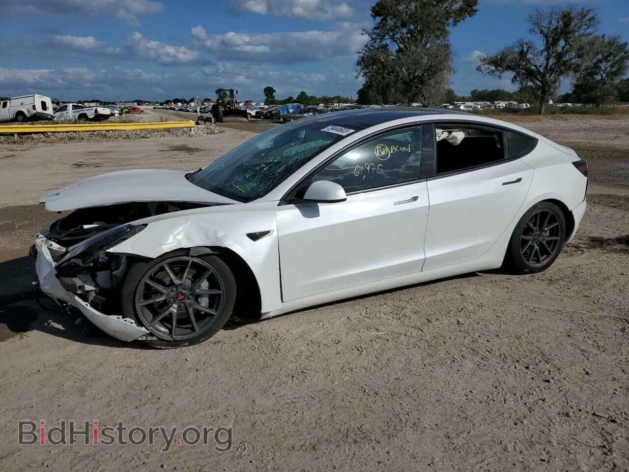 Photo 5YJ3E1EAXMF923521 - TESLA MODEL 3 2021