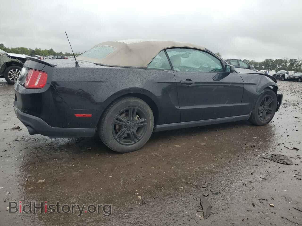 2011 FORD ALL Models - VIN: 1ZVBP8EM3B5126760 - Фото 3