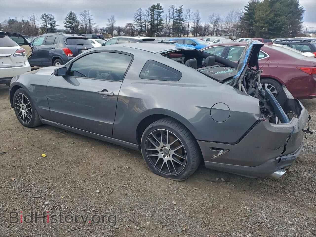 2011 FORD ALL Models - VIN: 1ZVBP8AM2B5166253 - Фото 2