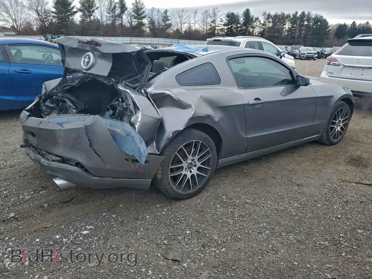 2011 FORD ALL Models - VIN: 1ZVBP8AM2B5166253 - Фото 3