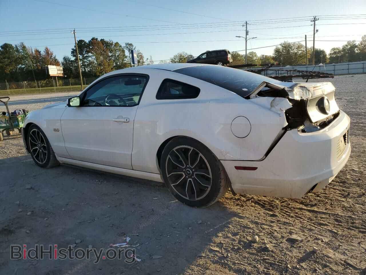 2013 FORD MUSTANG - VIN: 1ZVBP8CF9D5244433 - Фото 2