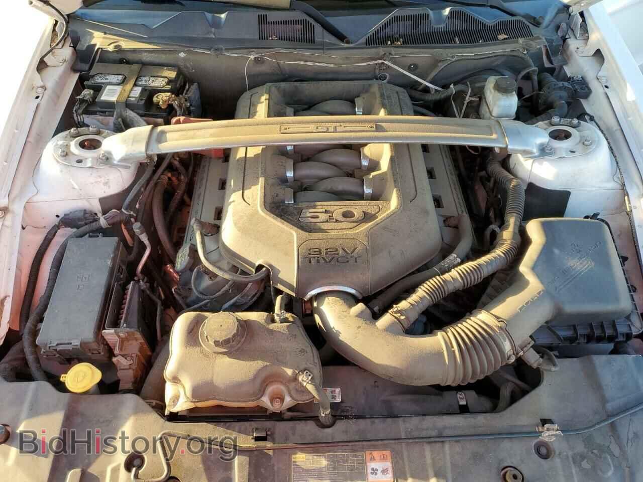2013 FORD MUSTANG - VIN: 1ZVBP8CF9D5244433 - Фото 11