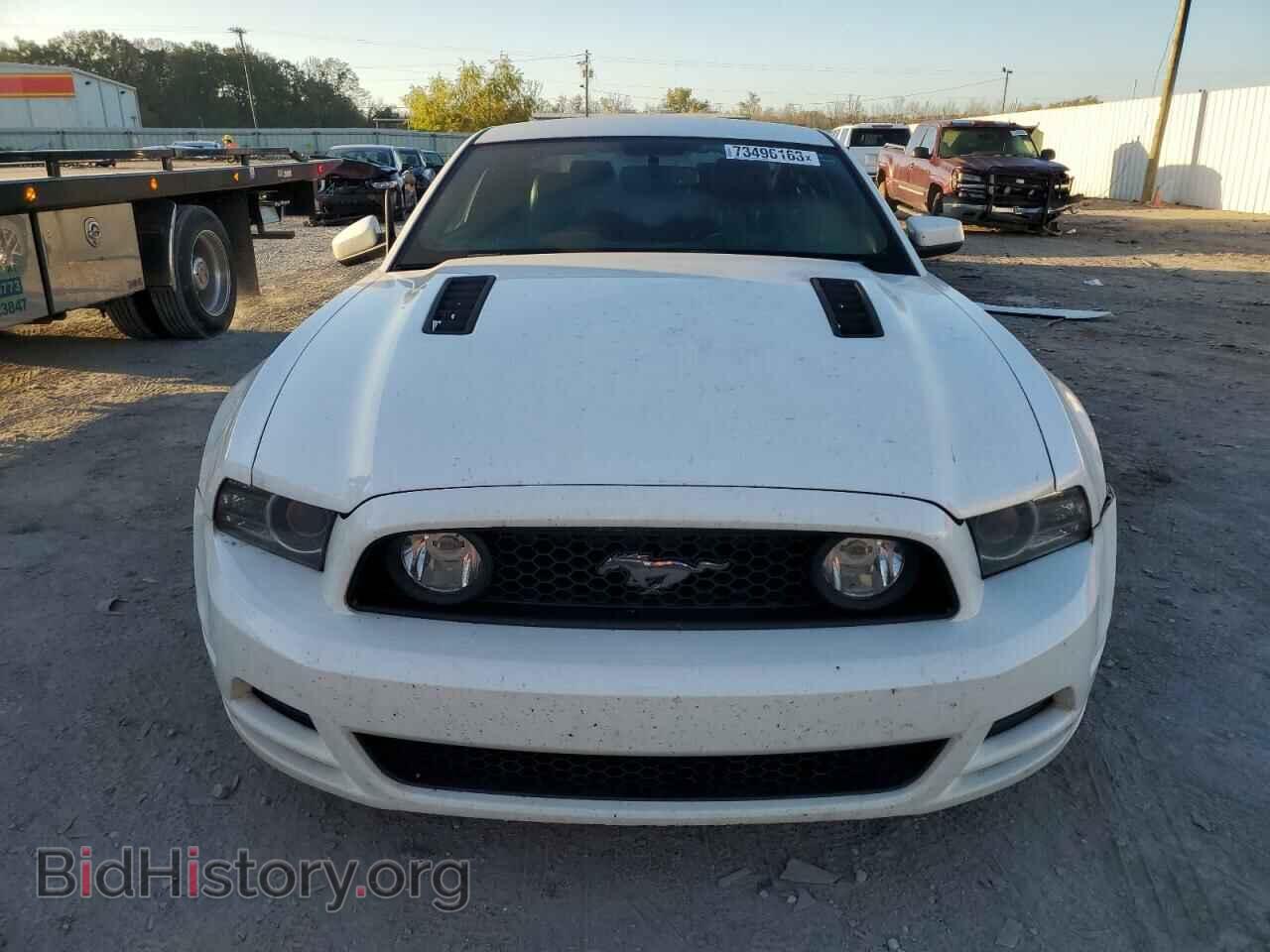 2013 FORD MUSTANG - VIN: 1ZVBP8CF9D5244433 - Фото 5