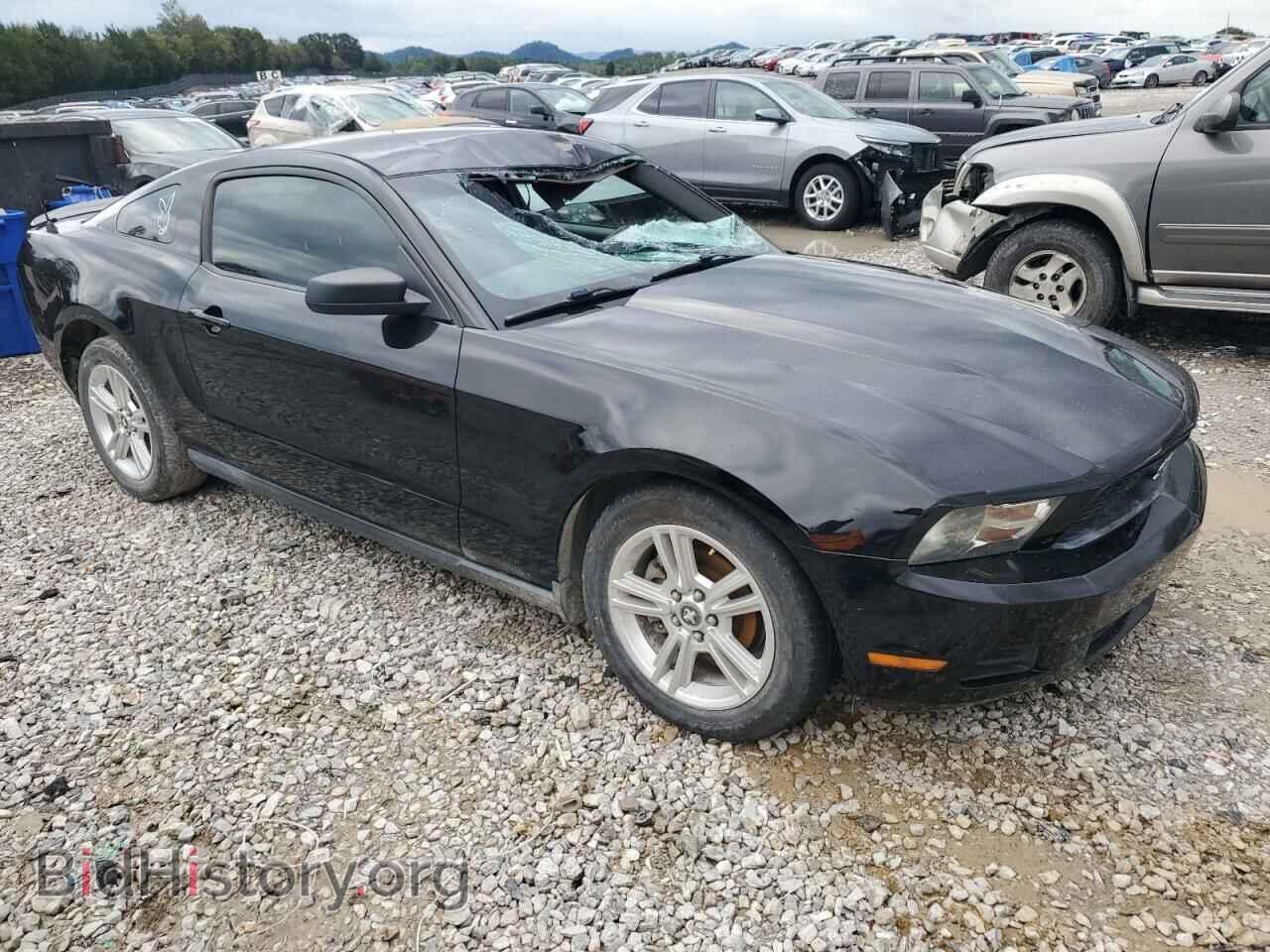 2010 FORD ALL Models - VIN: 1ZVBP8AN3A5148335 - Фото 4