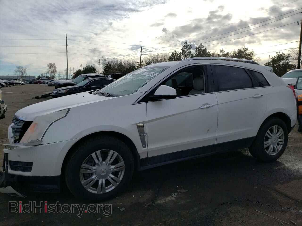 Photo 3GYFNAEY5AS562268 - CADILLAC SRX 2010