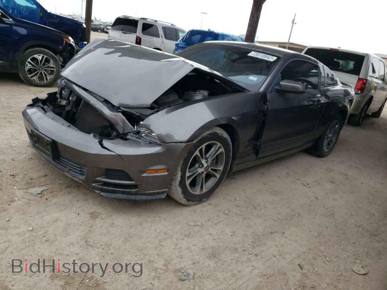 Photo 1ZVBP8AM7E5201955 - FORD MUSTANG 2014