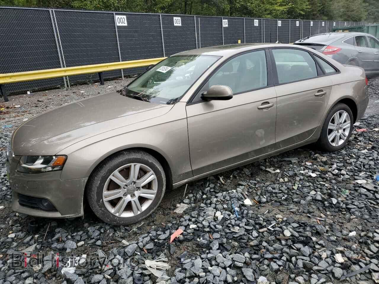 Фотография WAUBFAFL9AN030498 - AUDI A4 2010
