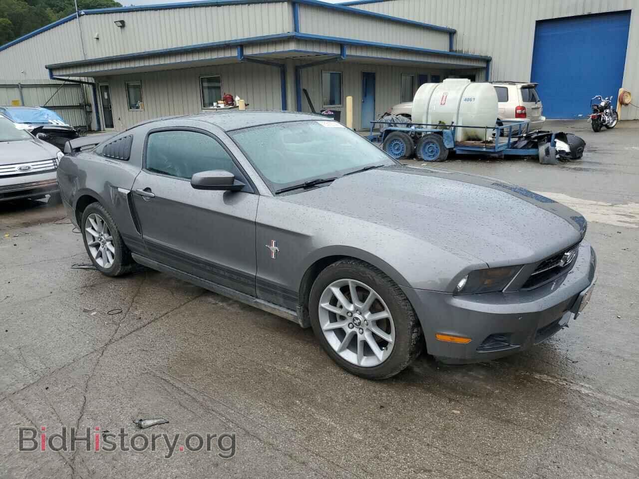 2010 FORD ALL Models - VIN: 1ZVBP8AN7A5128735 - Фото 4