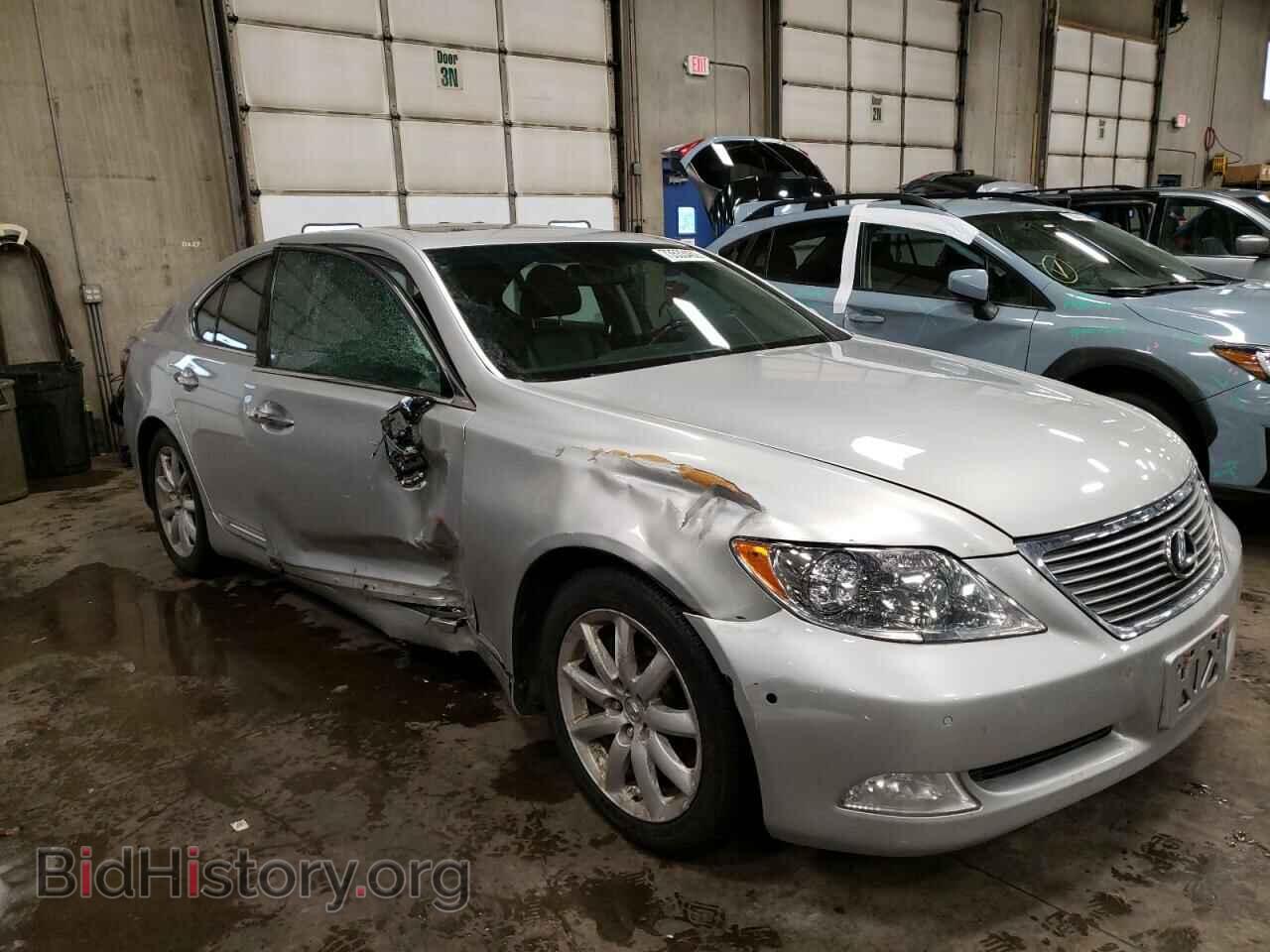 Фотография JTHBL46F975049230 - LEXUS LS460 2007