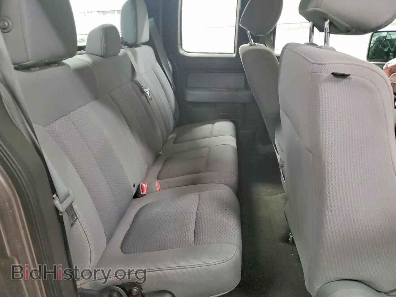 2013 FORD F-150 - VIN: 1FTFX1EF7DFB83201 - Фото 10