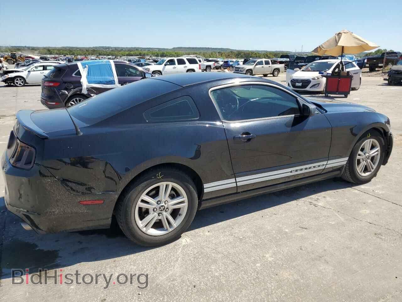 2013 FORD ALL Models - VIN: 1ZVBP8AM1D5278710 - Фото 3
