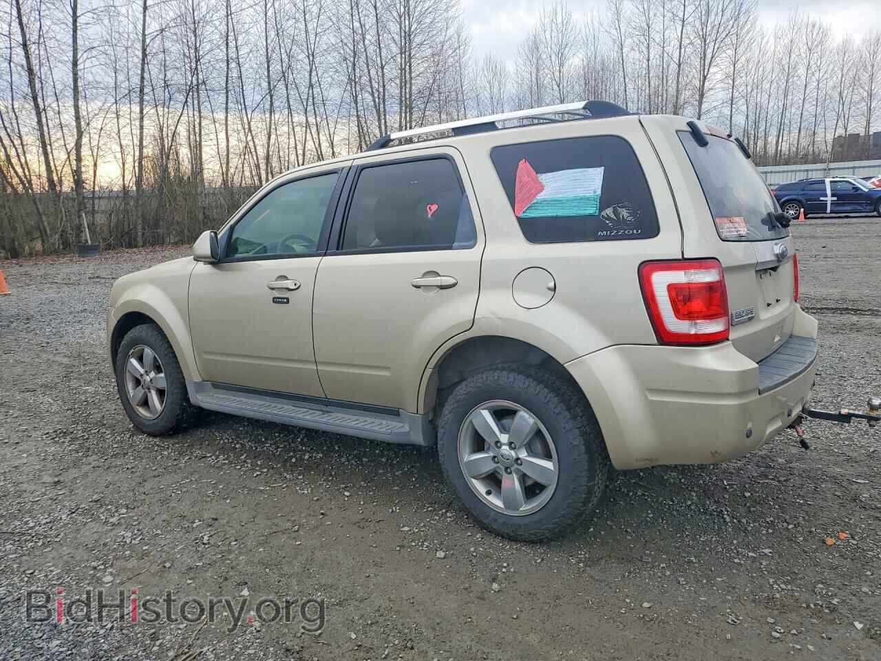 2010 FORD ESCAPE - VIN: 1FMCU0EG2AKB92580 - Фото 2