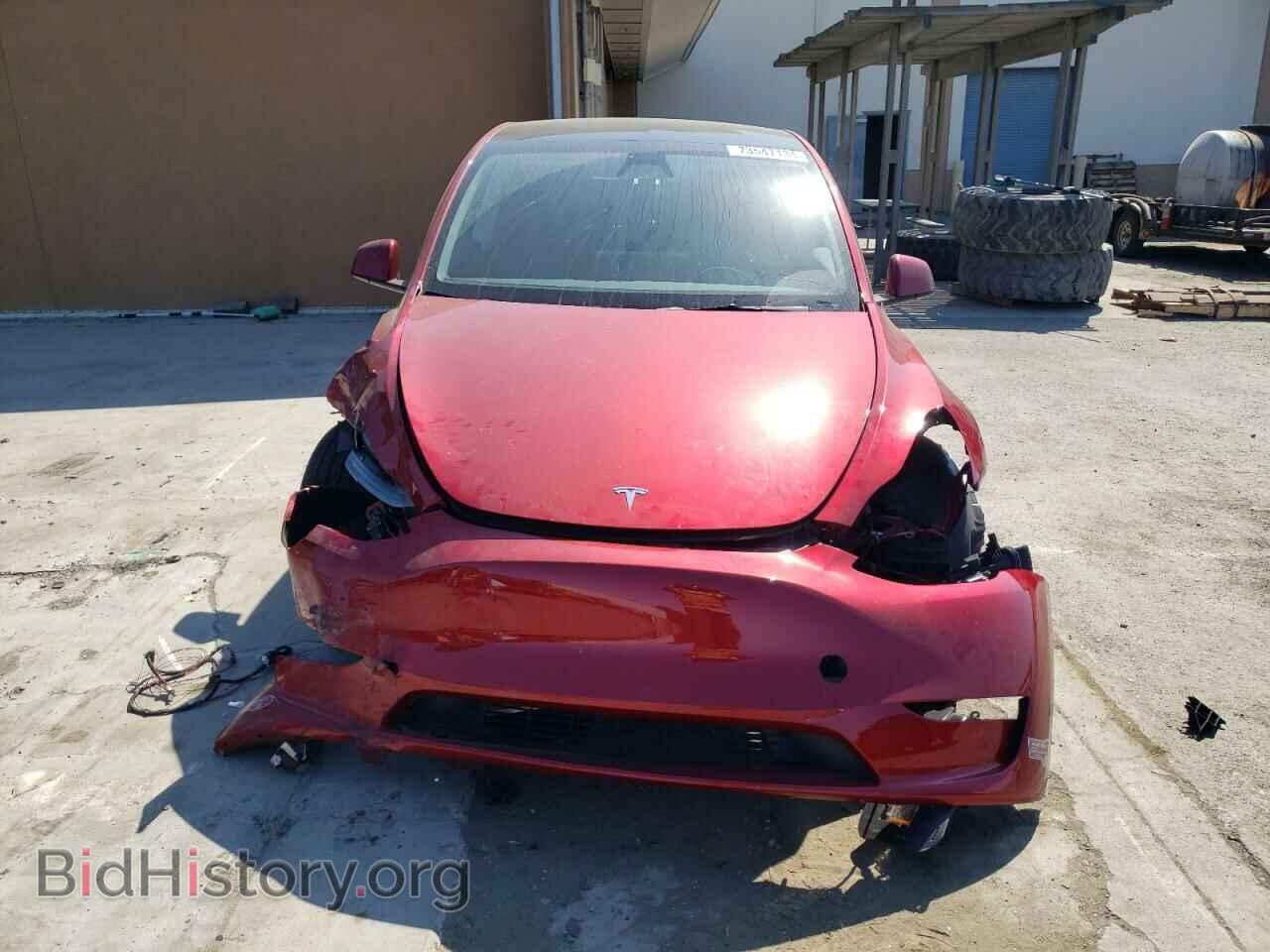 2024 TESLA MODEL Y - VIN: 7SAYGDEE5RF025312 - Фото 5