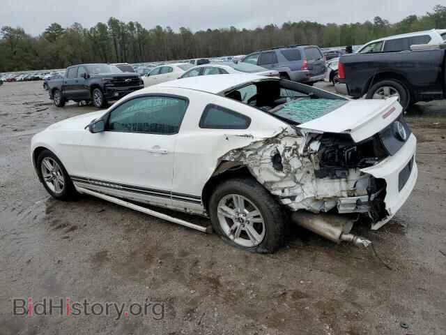 2013 FORD MUSTANG - VIN: 1ZVBP8AM3D5256143 - Фото 2