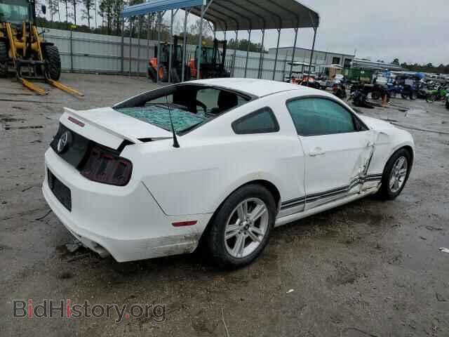2013 FORD MUSTANG - VIN: 1ZVBP8AM3D5256143 - Фото 3