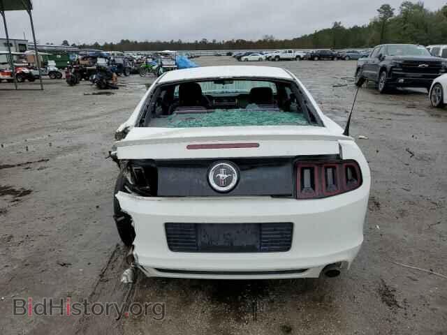 2013 FORD MUSTANG - VIN: 1ZVBP8AM3D5256143 - Фото 6