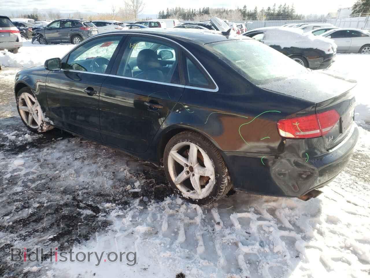 2010 AUDI A4 - VIN: WAUFFCFL3AN043230 - Фото 2