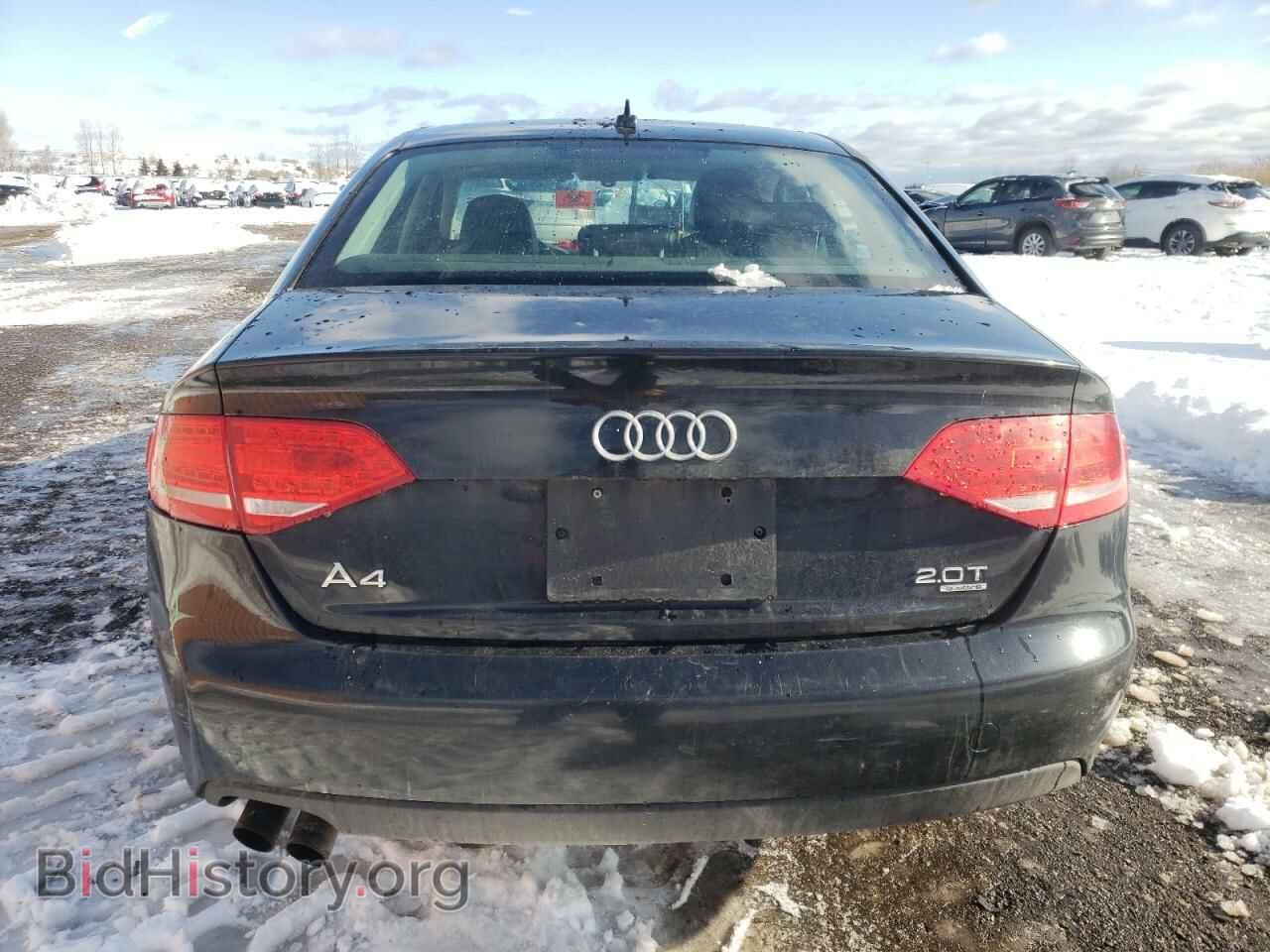 2010 AUDI A4 - VIN: WAUFFCFL3AN043230 - Фото 6