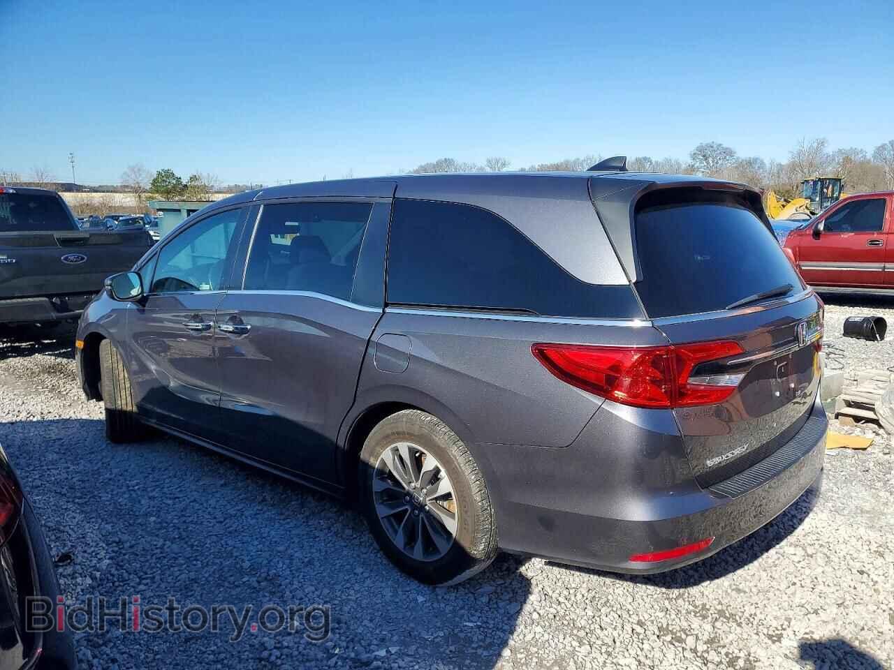 2023 HONDA All Models - VIN: 5FNRL6H60PB035563 - Фото 2