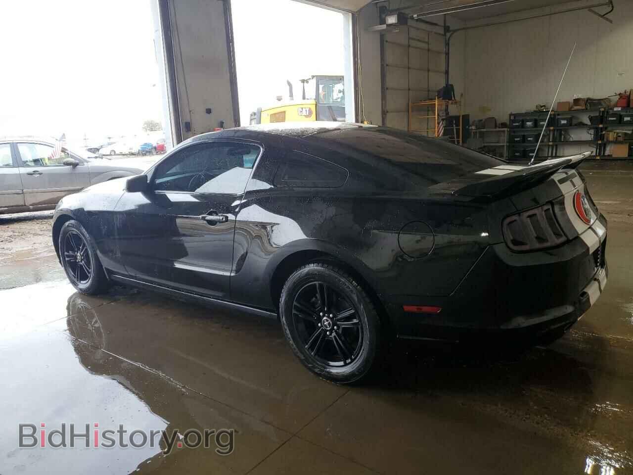 2014 FORD ALL Models - VIN: 1ZVBP8AM8E5213970 - Фото 2
