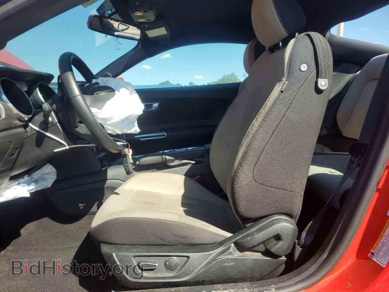 2019 FORD ALL Models - VIN: 1FA6P8TH7K5105569 - Фото 7