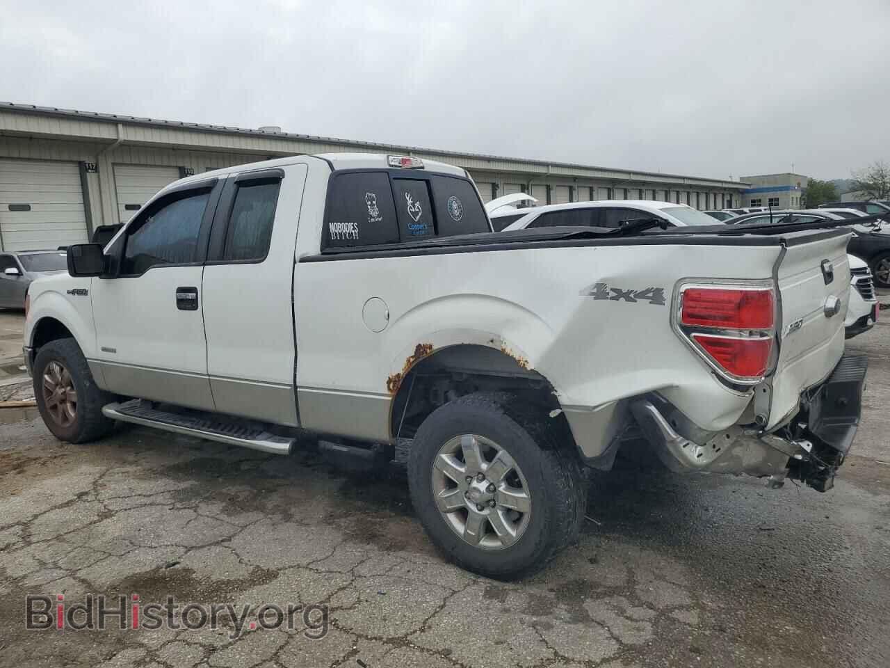2013 FORD F-150 - VIN: 1FTFX1ET9DFA36531 - Фото 2