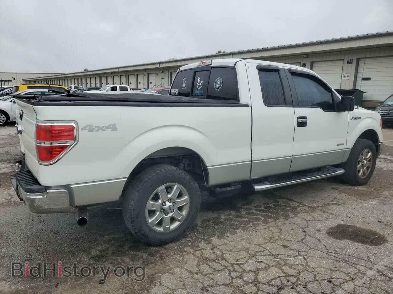 2013 FORD F-150 - VIN: 1FTFX1ET9DFA36531 - Фото 3