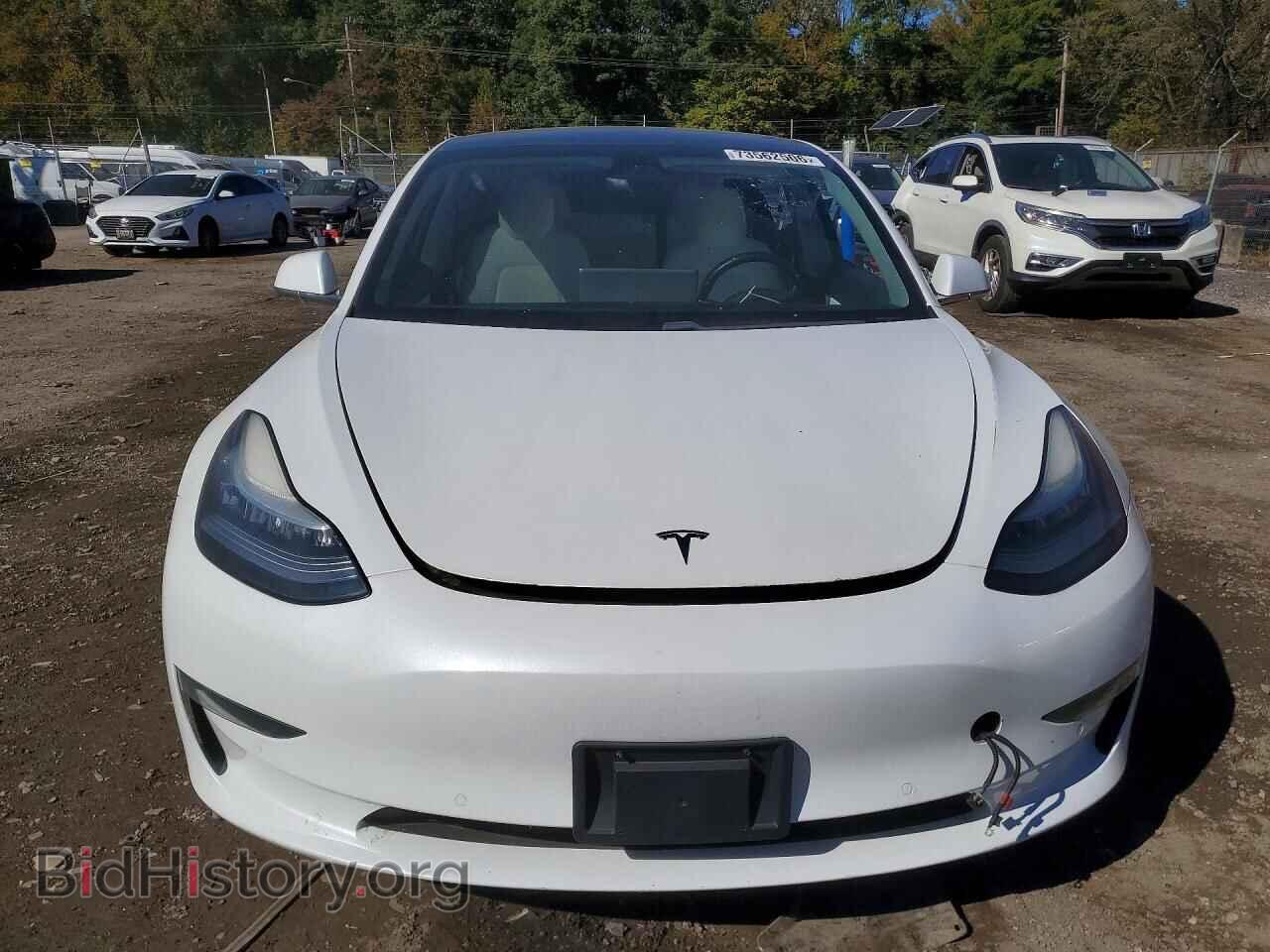2019 Tesla MODEL 3 (VIN 5YJ3E1EA3KF407613) — фото 5 из 12