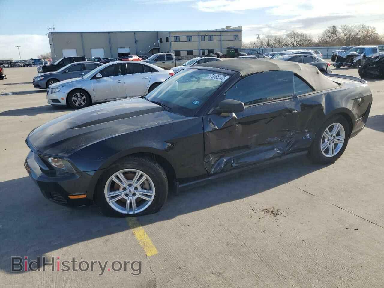 Фотография 1ZVBP8EM2C5212594 - FORD MUSTANG 2012