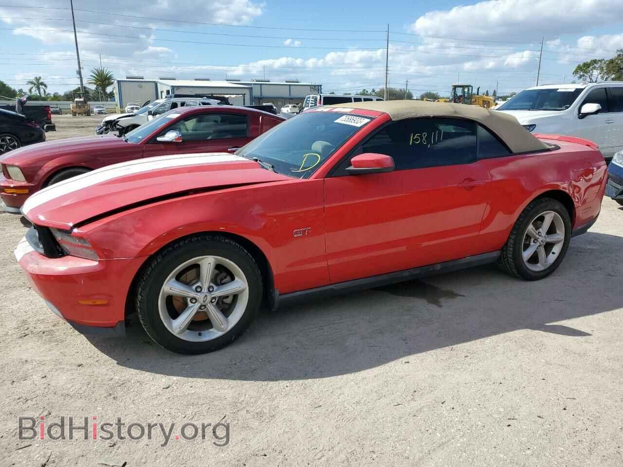 Photo 1ZVBP8FH0A5115554 - FORD MUSTANG 2010