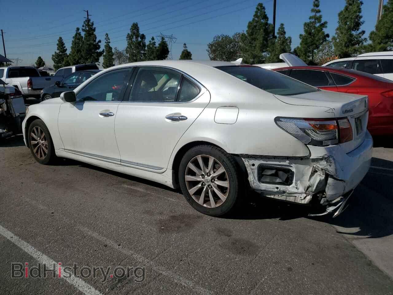 2010 LEXUS LS460 - VIN: JTHBL5EF3A5101482 - Фото 2