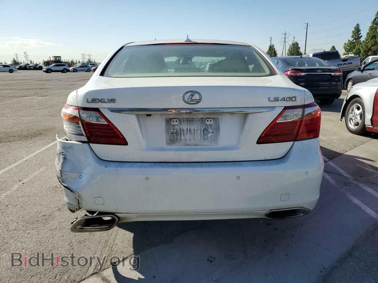 2010 LEXUS LS460 - VIN: JTHBL5EF3A5101482 - Фото 6